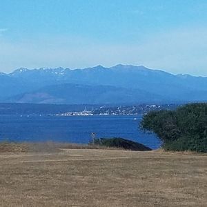 Meet your Posher, Alison